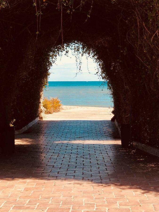 Las Terrazas - Primera Linea De Playa Con Netflix, Disney, Movistar Con Todo El Futbol, Series, Cine Y Prime Video Oropesa del Mar Exterior foto